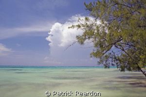 Pastel paradise.  One of the things I love about diving i... by Patrick Reardon 